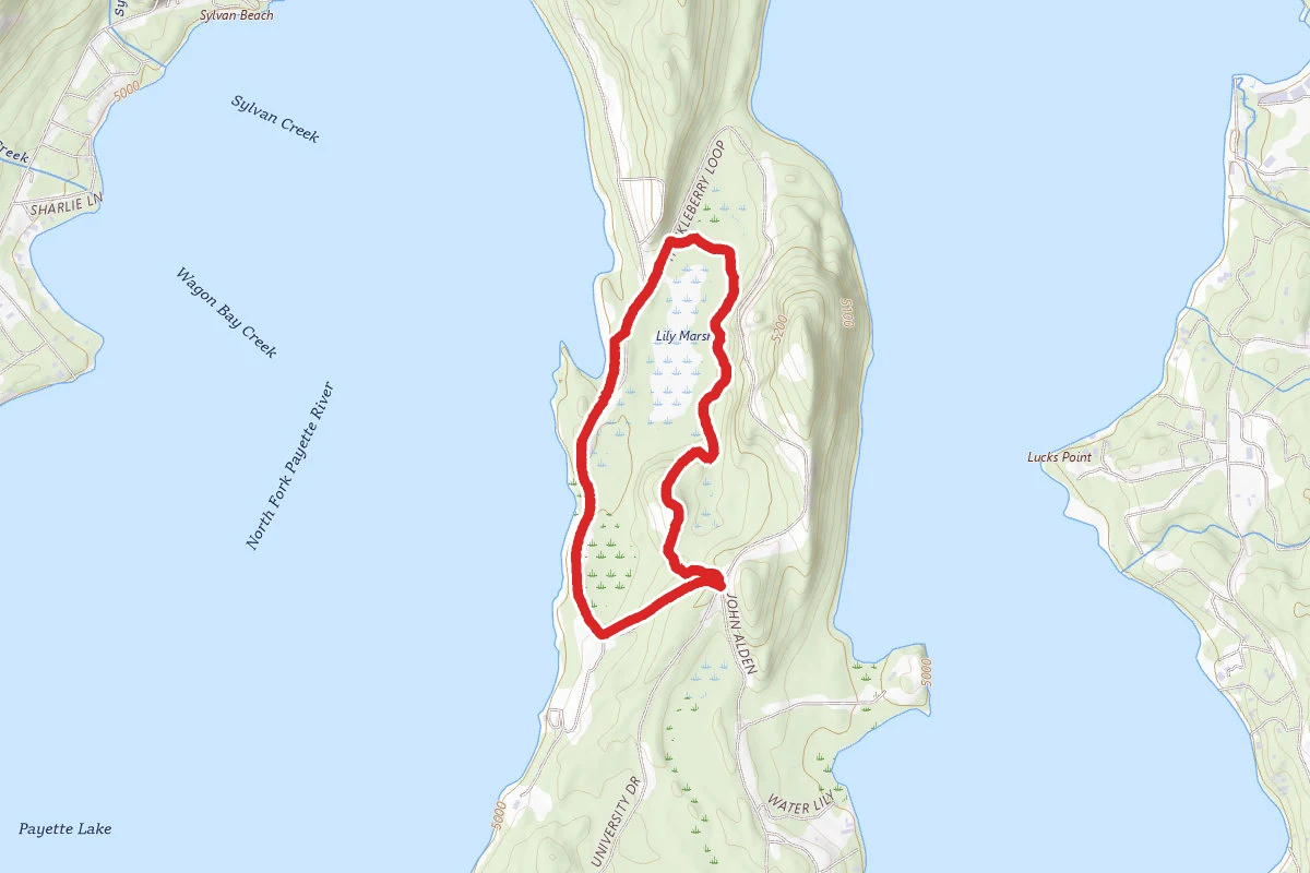 Lily Marsh and Peninsula Trail Loop