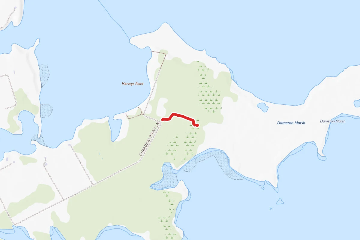 Dameron Marsh Preserve Trail