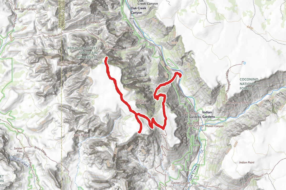 North Wilson Mountain Trail