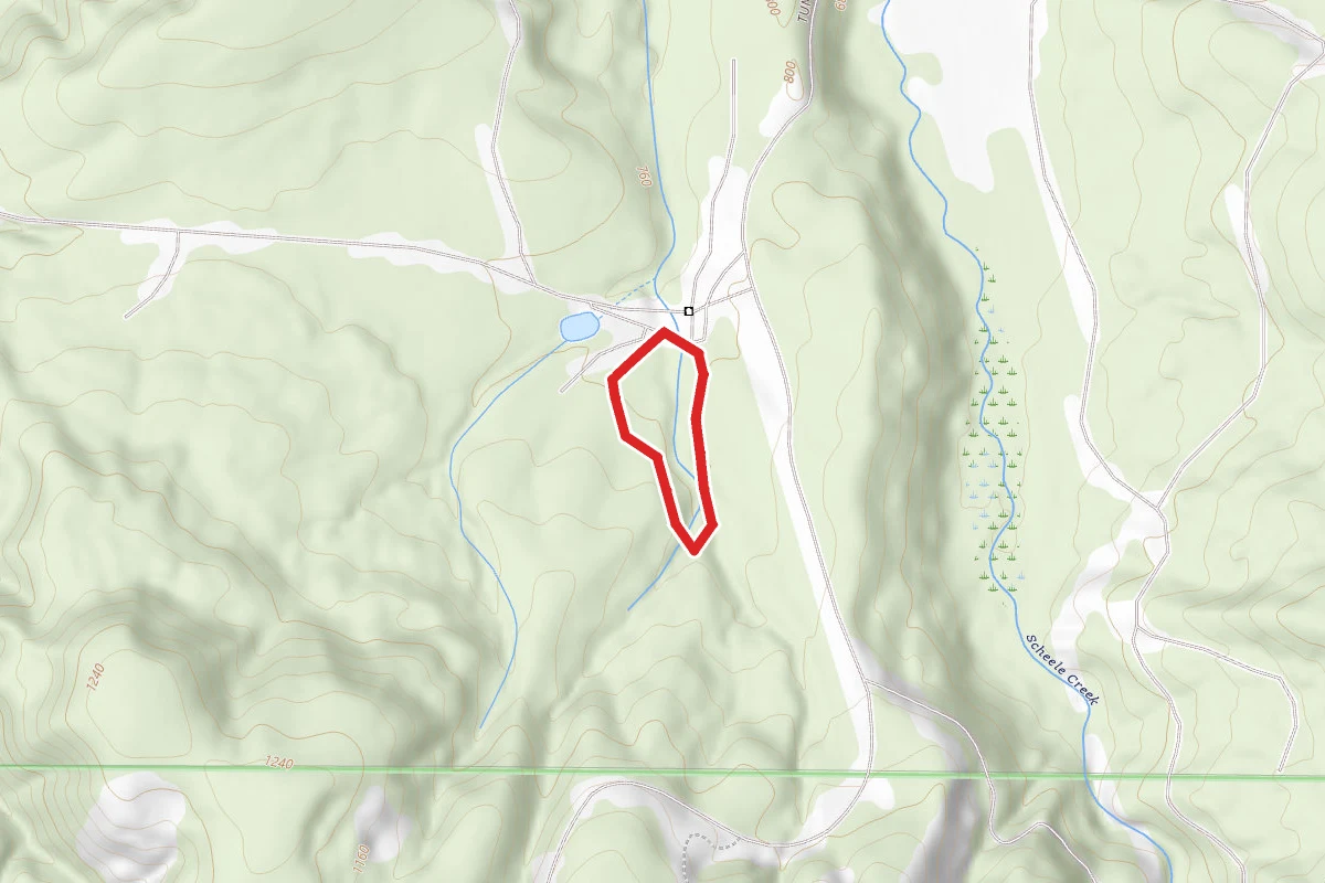 Starker Forest Tour