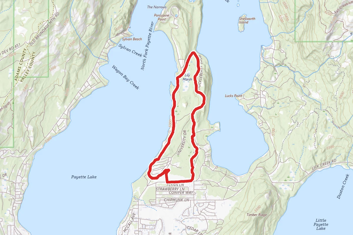 Peninsula, Fox Run, Huckleberry Loop, and Miles Standish Trails Loop