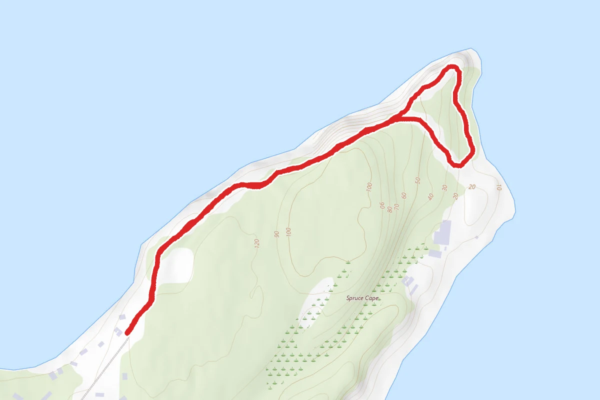 Spruce Cape Trail