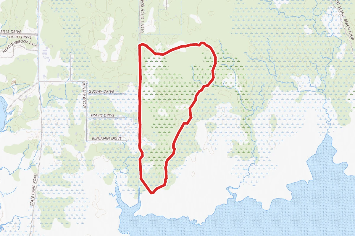 Nagoonberry Loop Trail
