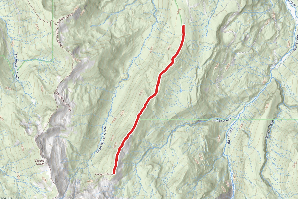 Cougar Divide
