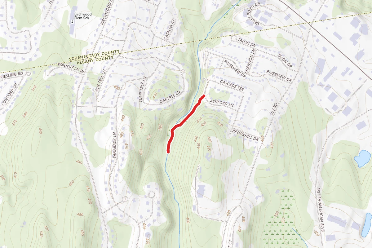 Ashford Glen Preserve Trail
