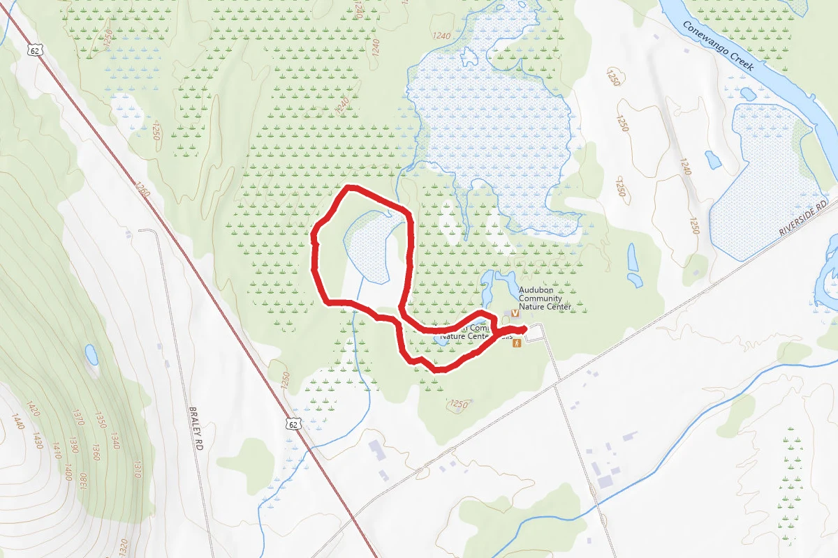 Spatterdock Trail (Orange)