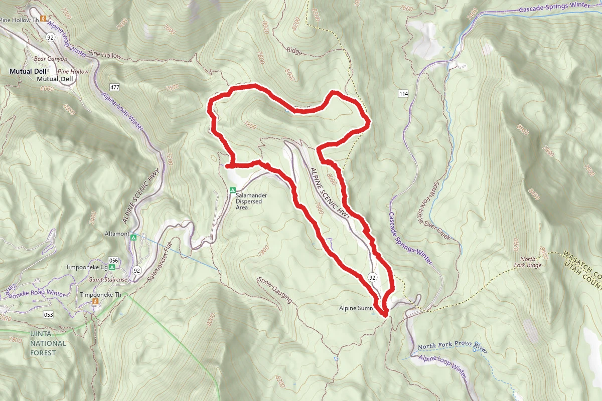 Willow Hollow, Ridge and Pine Hollow Trail Loop