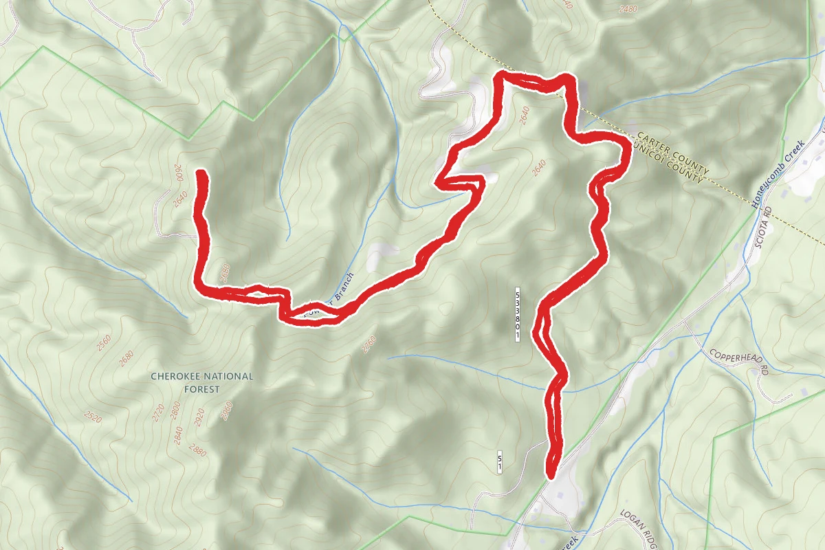 Cherokee Little Mountain Trail (FSR 533801)