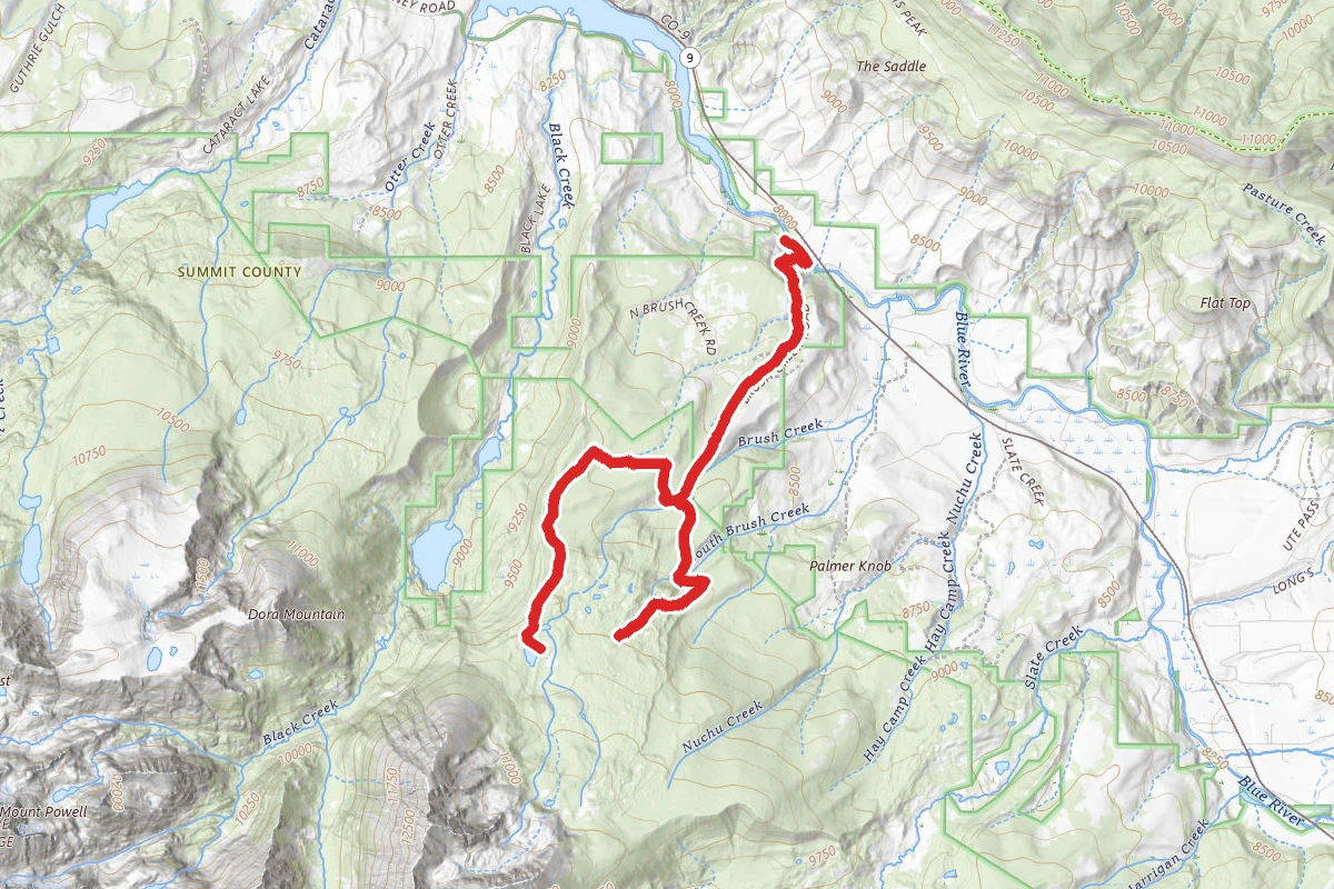 Lost Lake via FDR 1695