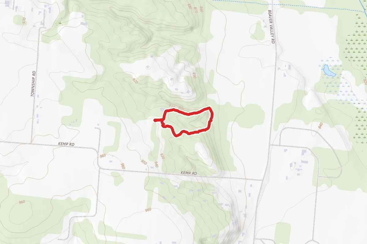 Forrest Loop