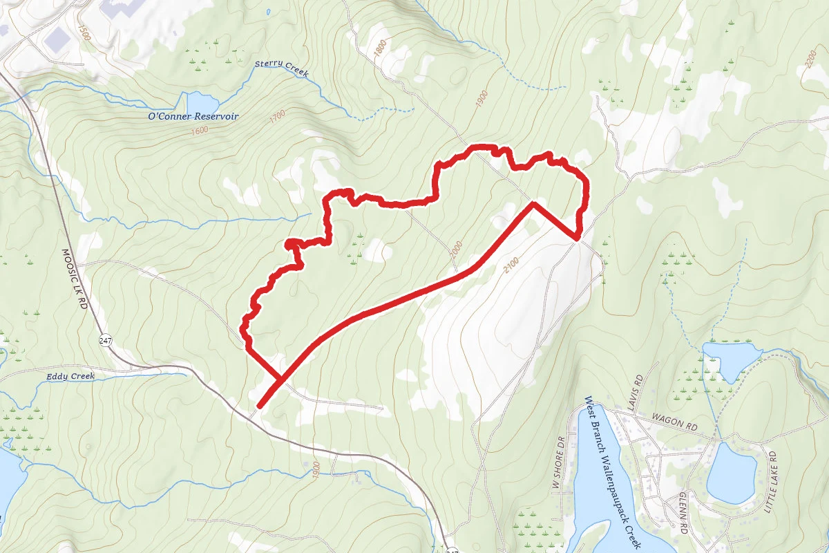 Moosic Mountain Loop