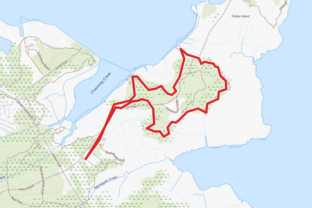 Cattus Island Butterfly Bogs Trail