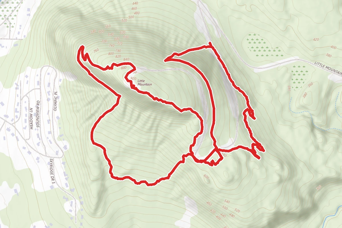 Little Mountain Park Loop
