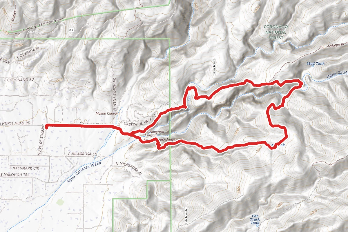 Agua Caliente Loop