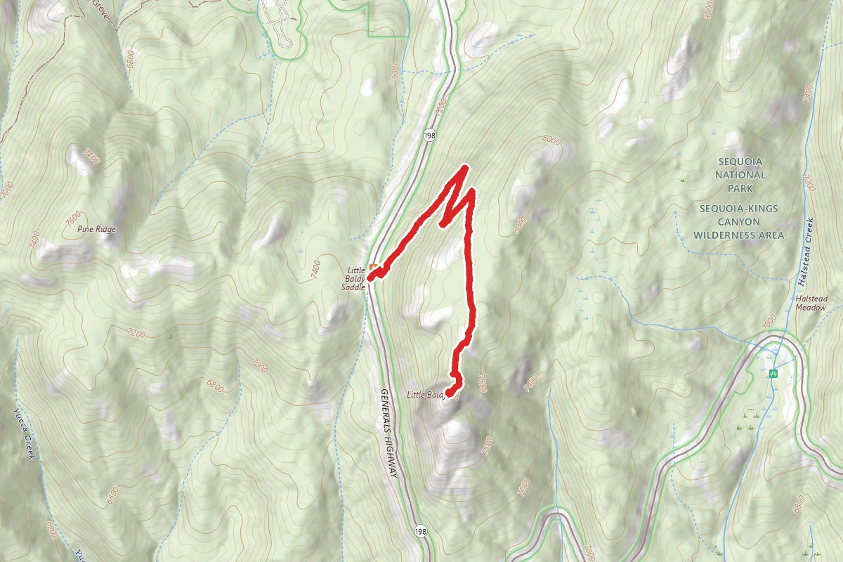 Little Baldy Trail