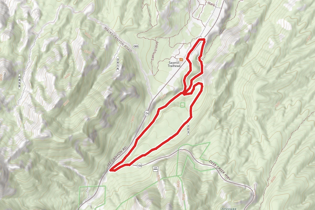 Champion Road Wash Trail