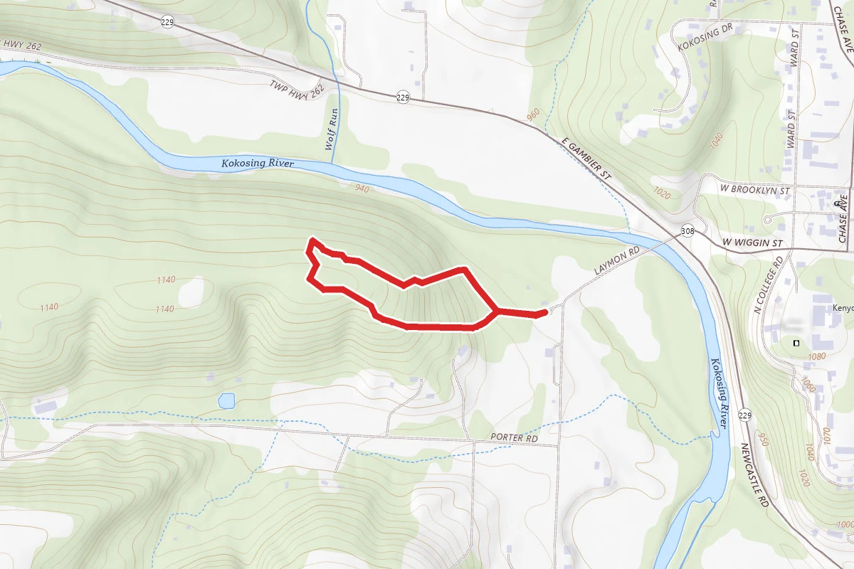 Pine Overlook Trail
