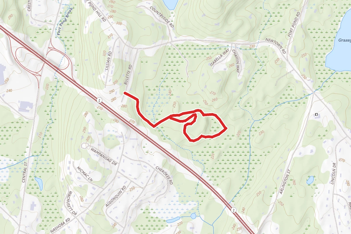 Town Forest Red and Yellow Loop