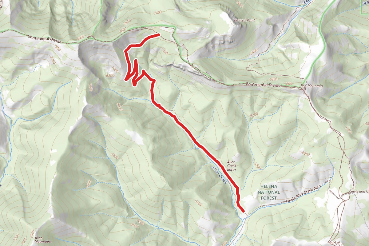 Alice Creek Trail #490