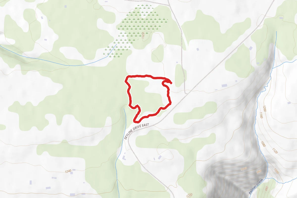 Dogwood Loop