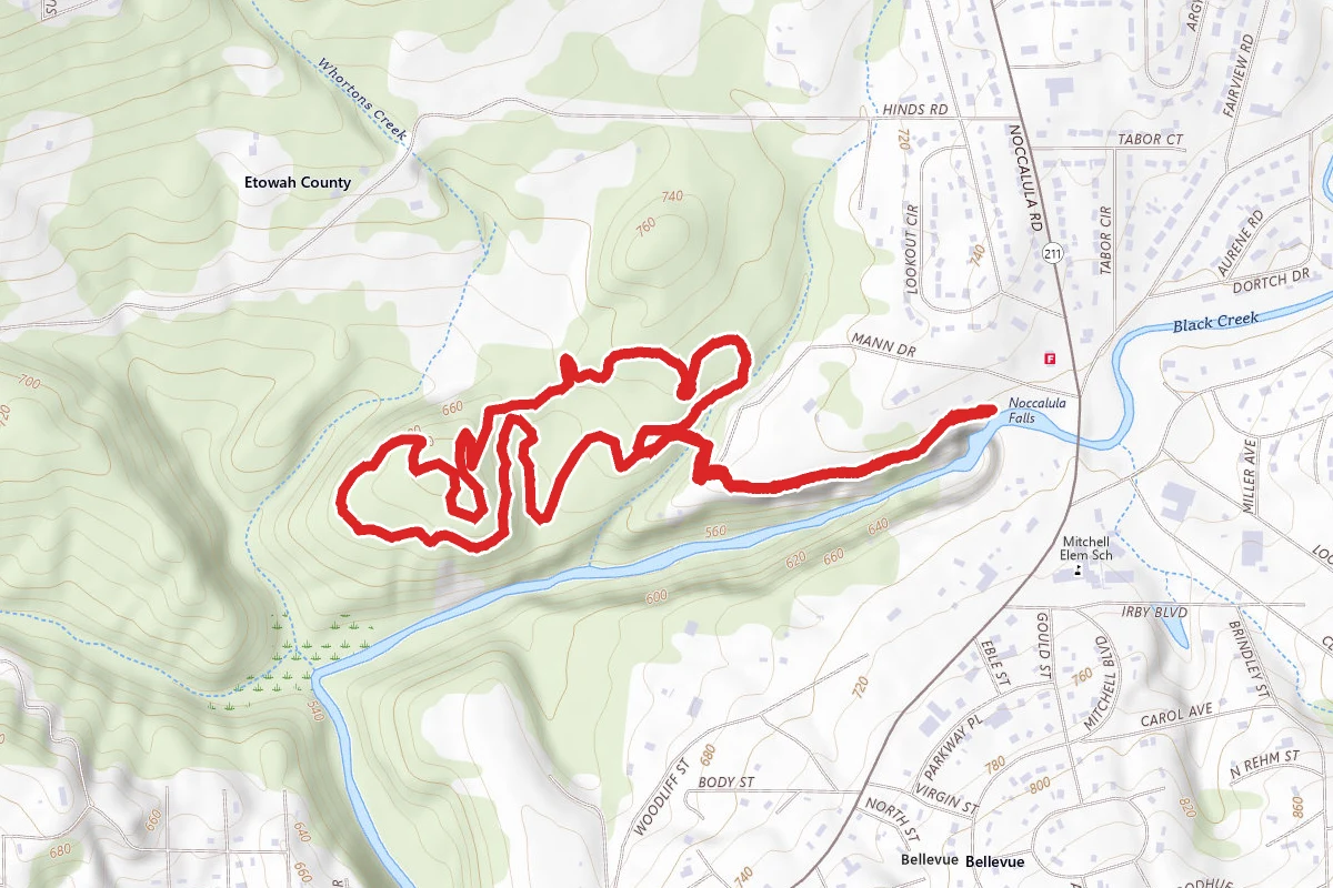 Black Creek Trail to Jeep Hill Loop