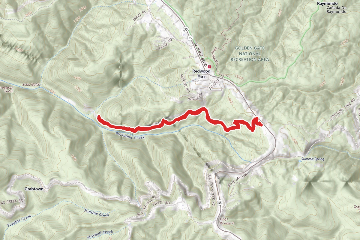 Purisima Creek Trail to Craig Britton Trail