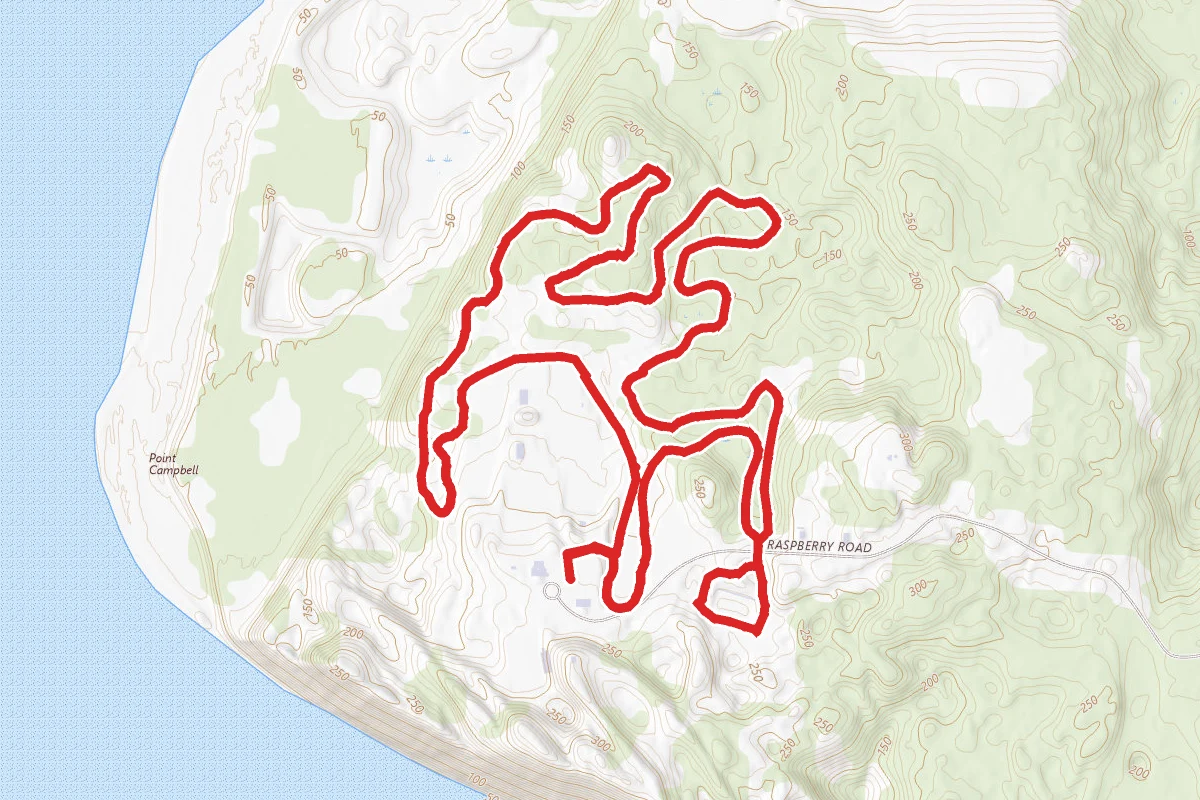 Margeaux's and Mize Loop