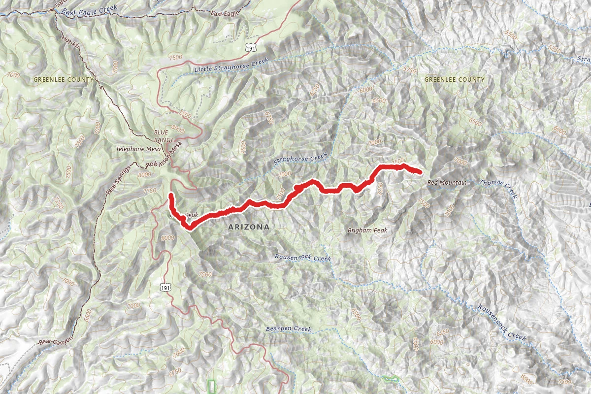 Red Mountain Trail #25