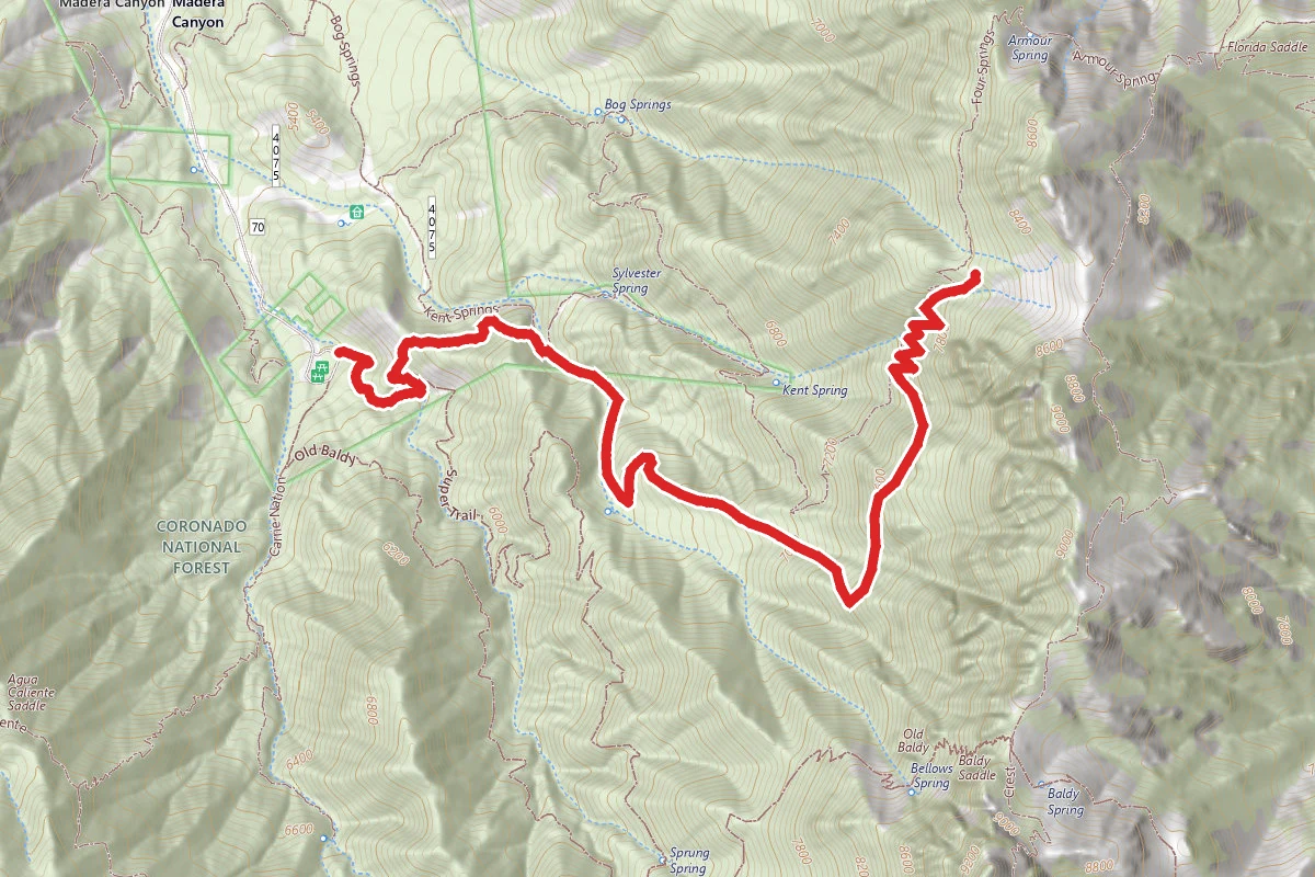 The Shovel Trail