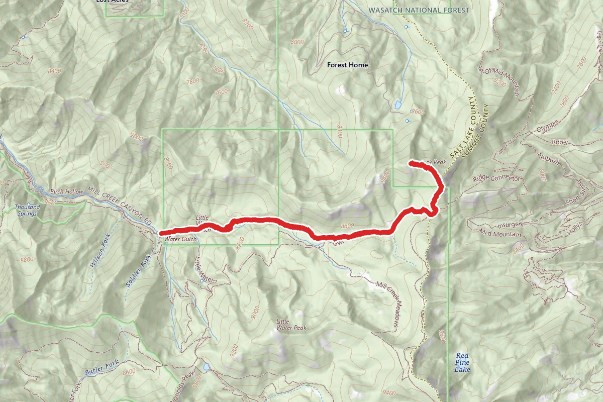 Murdock Peak via Old Red Pine Road