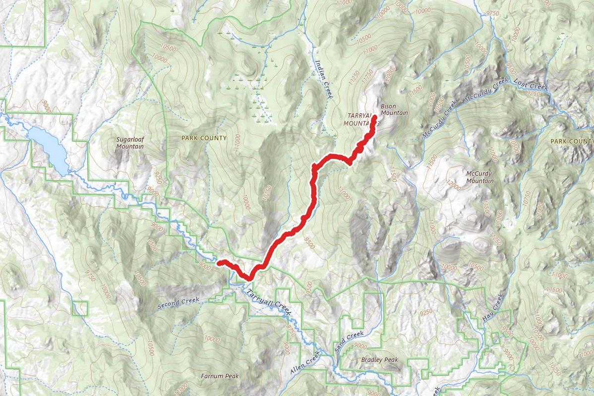 Bison Peak Summit Trail