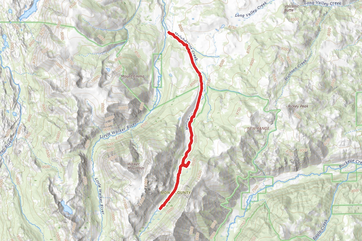 Molybdenite Creek Trail