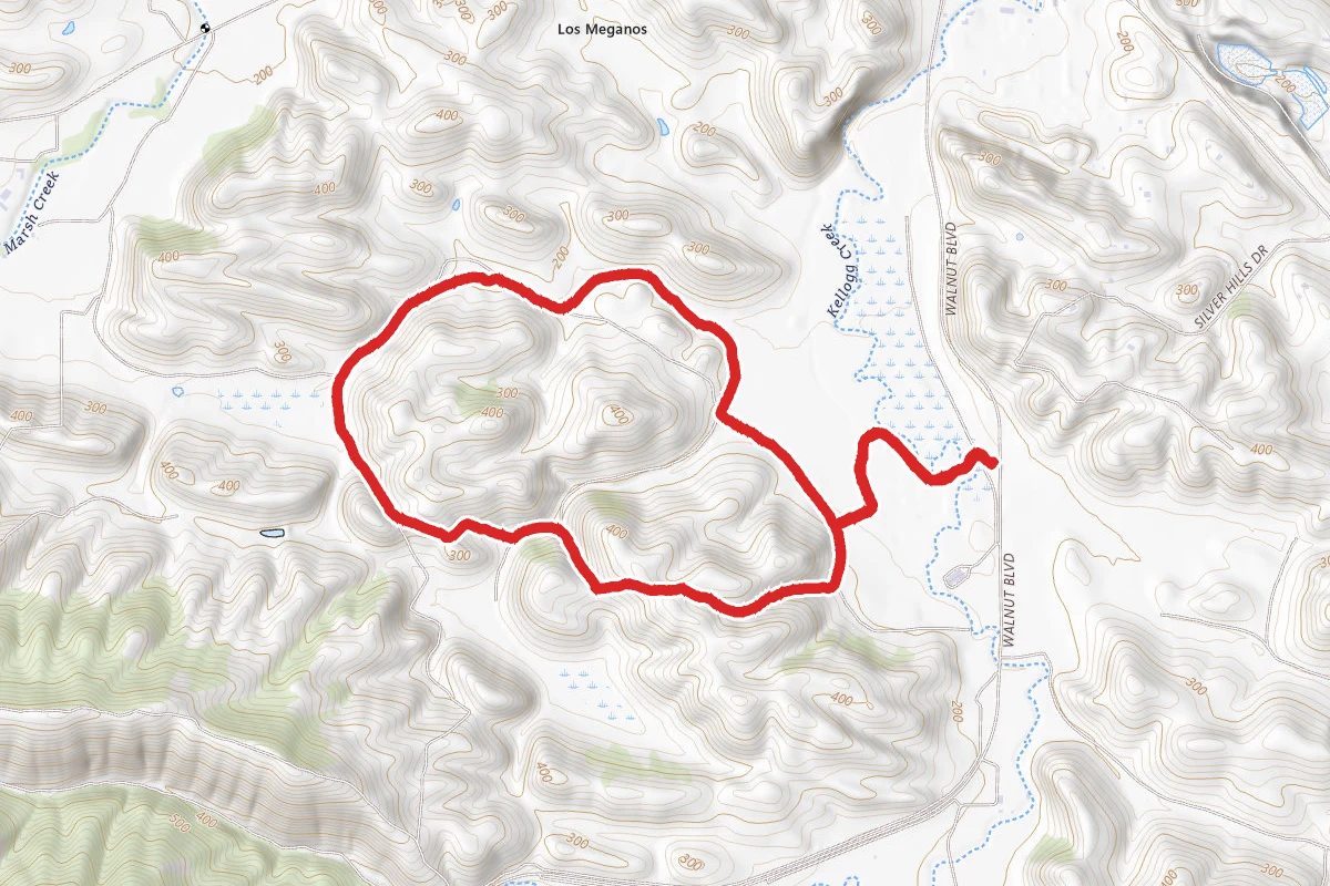 Kit Fox Trail
