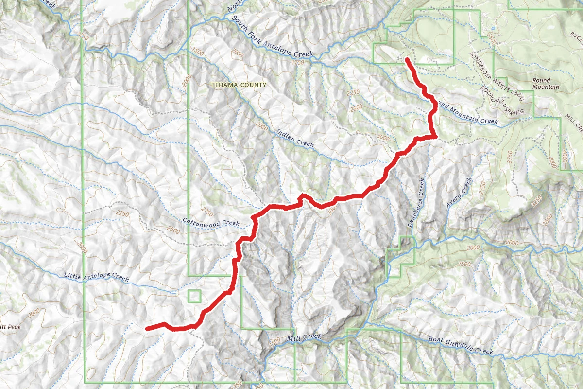 Peligreen and Grapevine OHV Trail