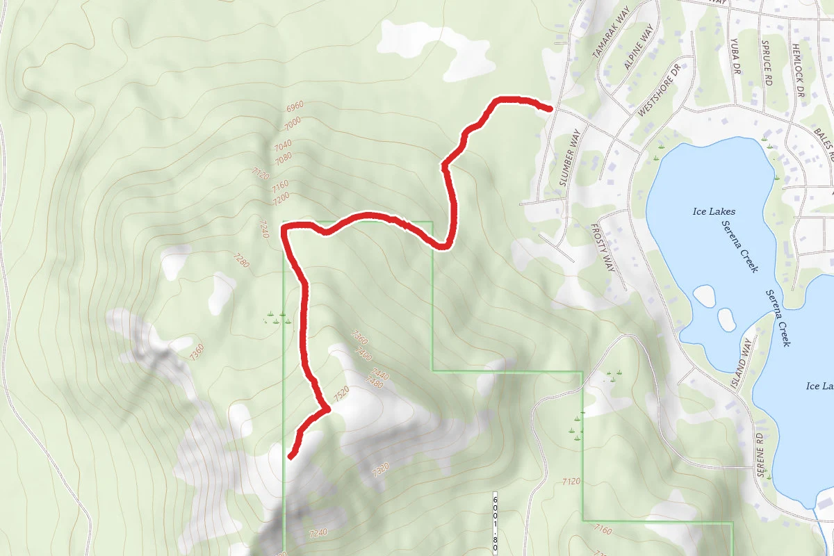 Palisade Peak Trail