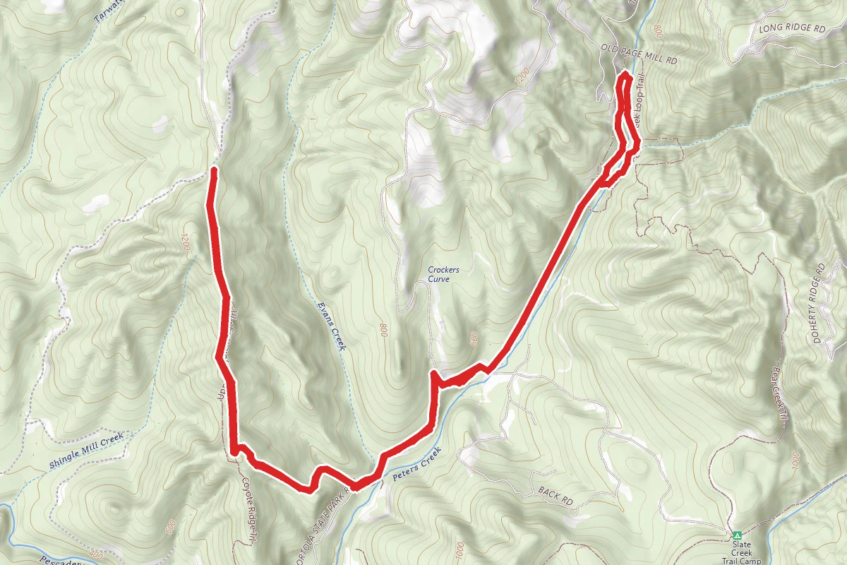 Upper Coyote Ridge Trail to Old Page Mill Trail