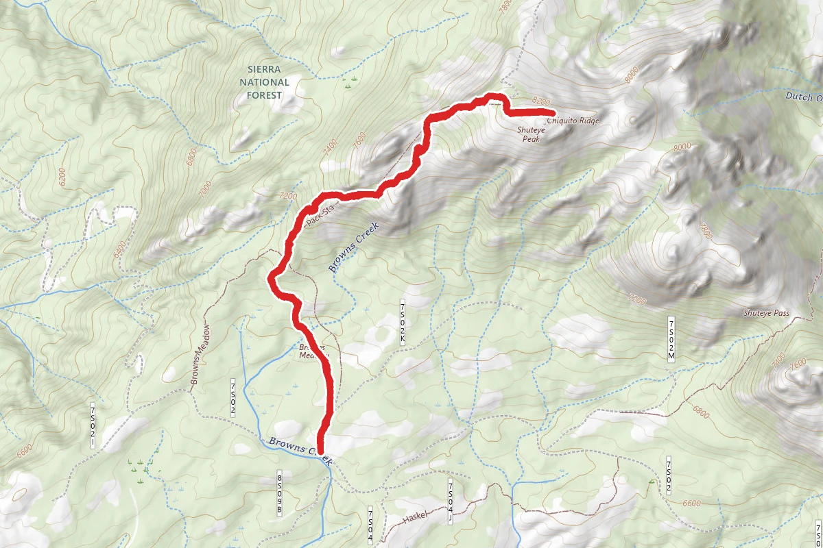Browns Meadow to Shuteye Peak Trail