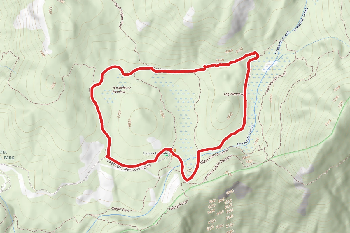 Tharp's Log and Huckleberry Trail Loop