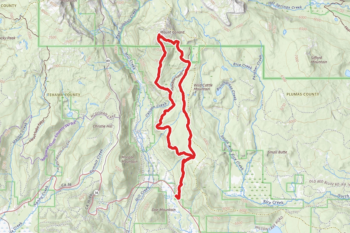Mount Conard Via Spencer Meadow Loop