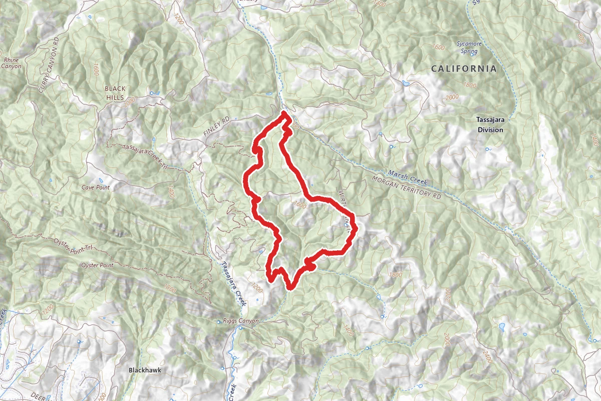 Morgan Creek Road, Jeremiah Trail, Highland Ridge Trail, and Morgan Ridge Road