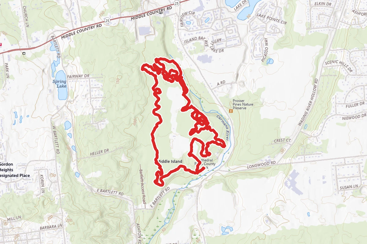 Cathedral Pines Trail