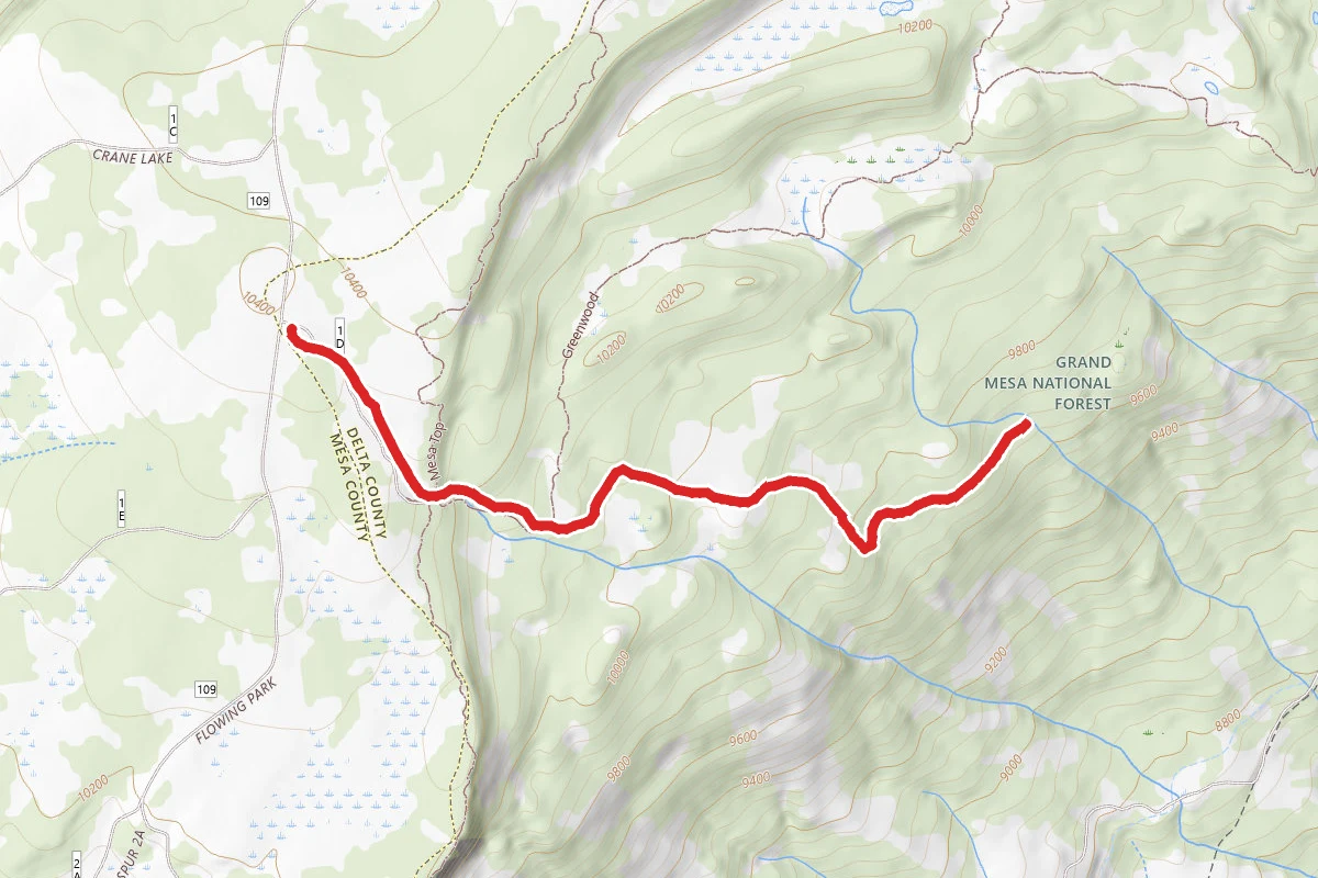 Bull and Brown Trail