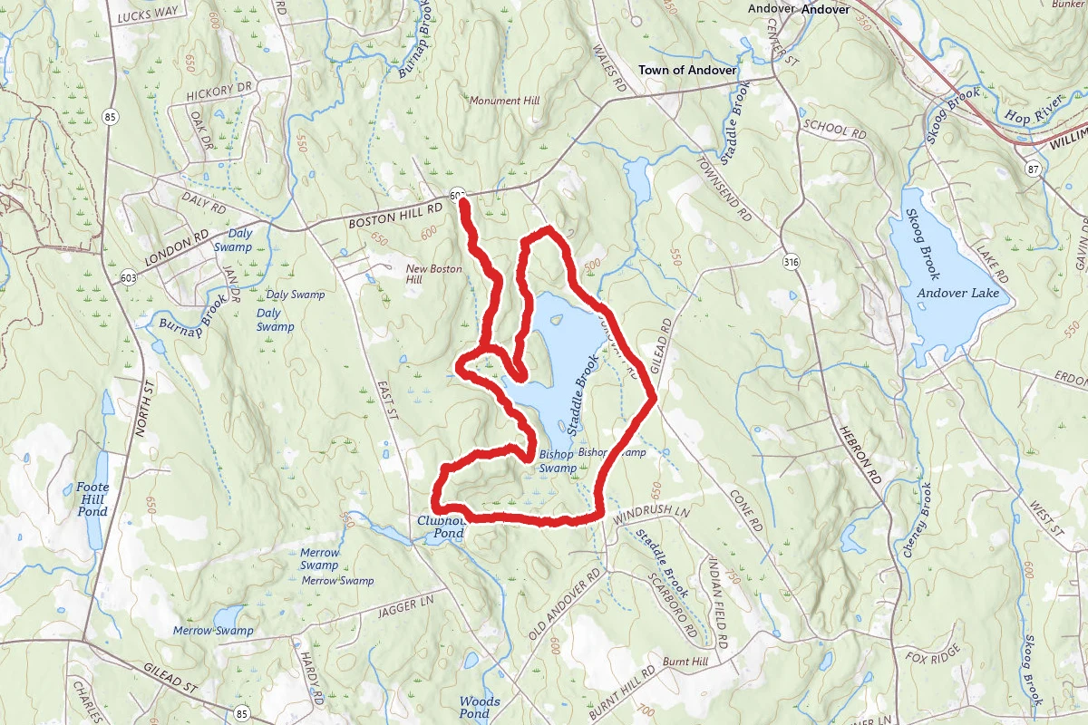 Bishop Swamp Extended Loop