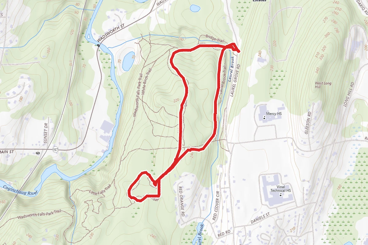 Laurel Grove Brook (Yellow) and Cedar Loop (Red)