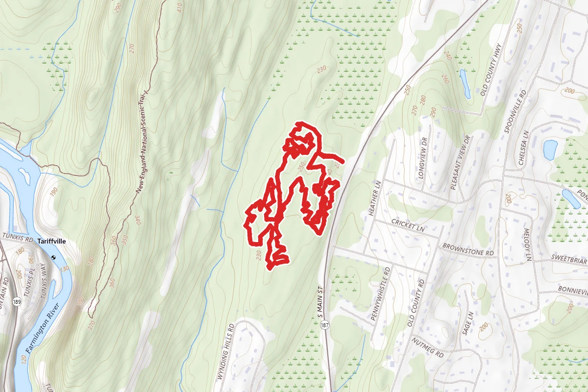 Cowles Park Purple Trail