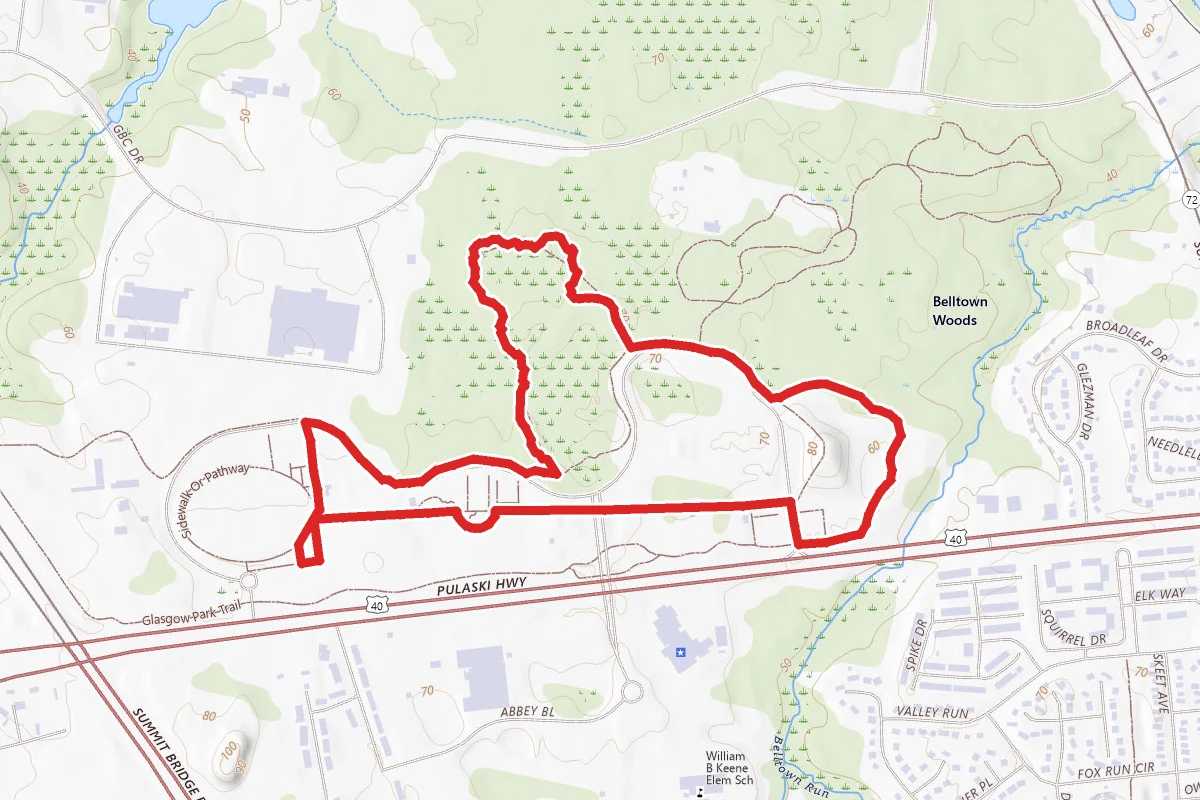 Dog Park and Forest Loop