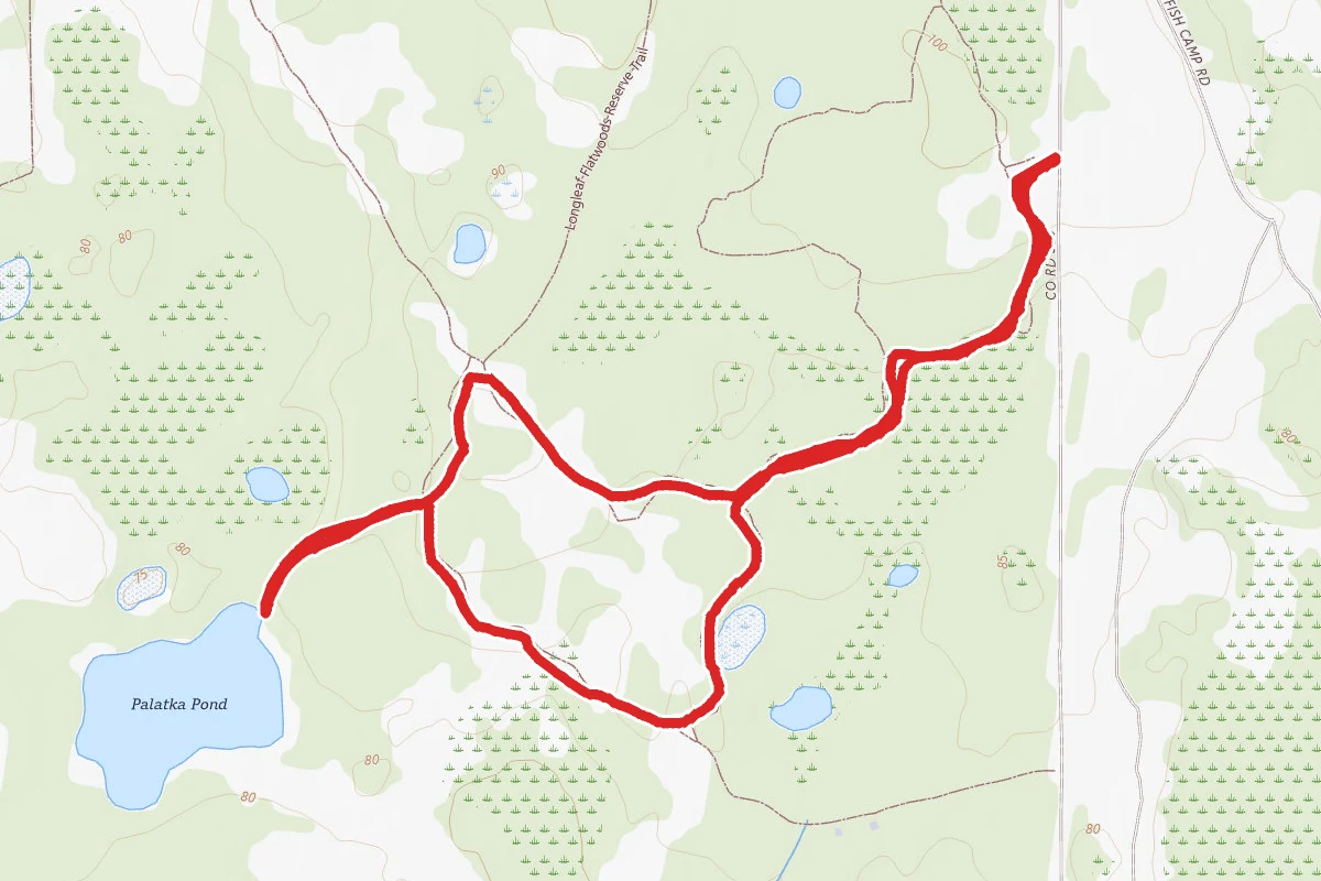 Longleaf Flatwoods Yellow Trail