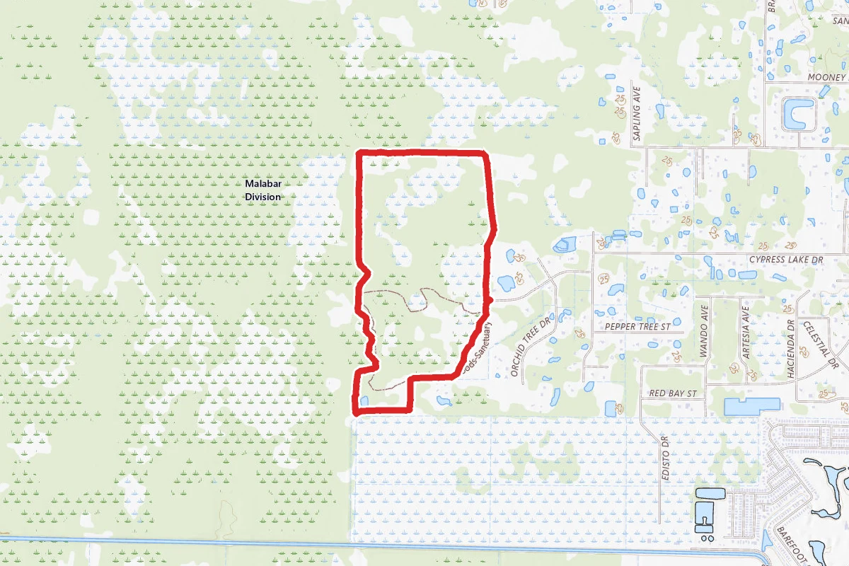 Grant Flatwoods Sanctuary Loop