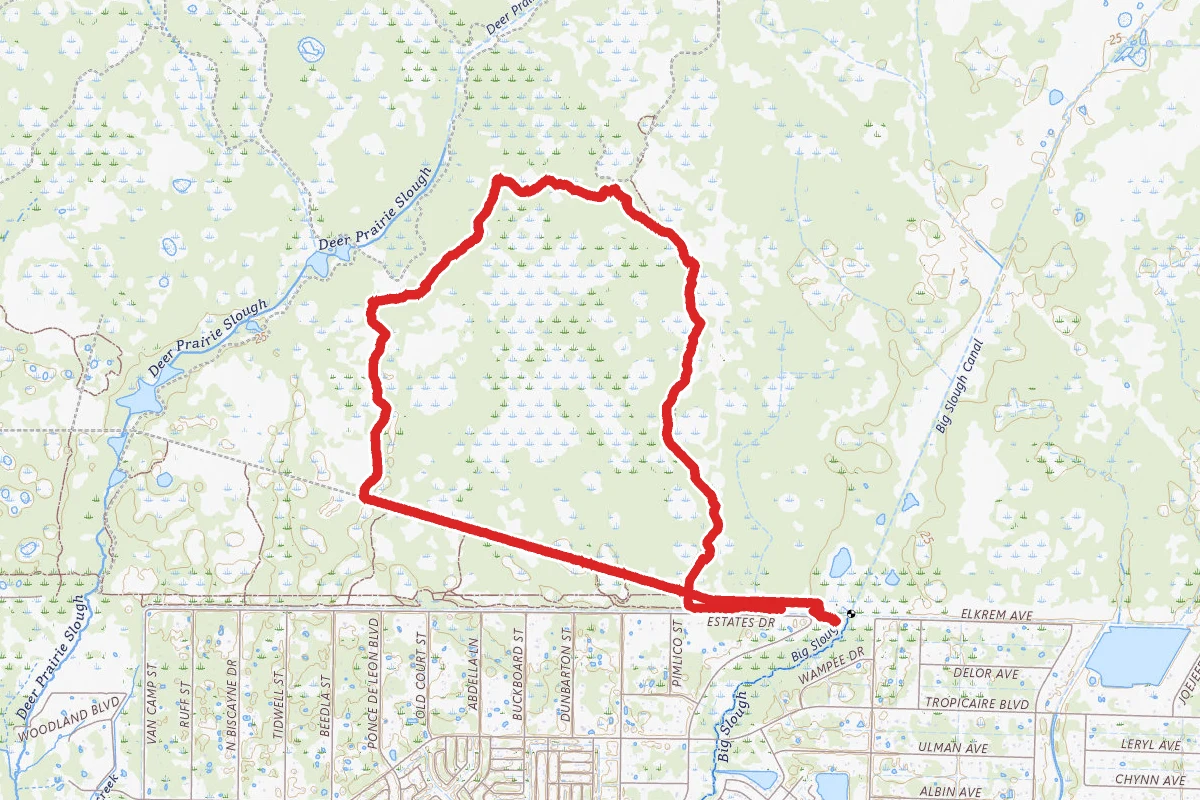 Tiger Marsh Loop