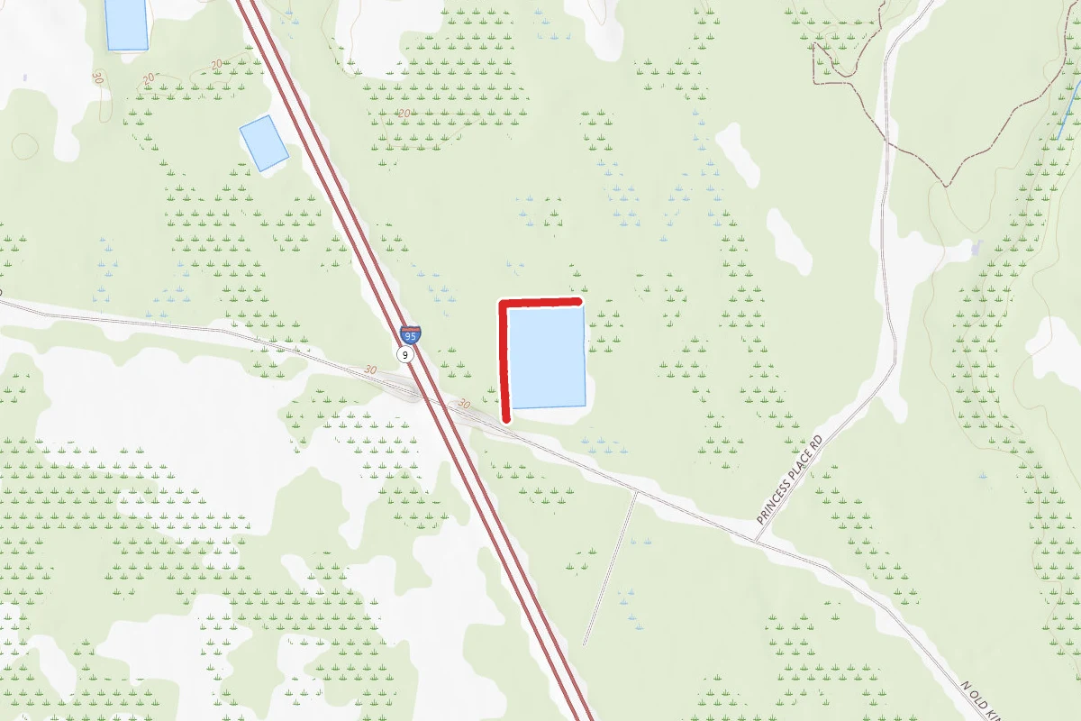 Pellicer Pond